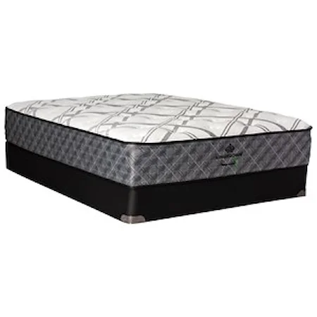 Queen Firm Coil on Coil Euro Top Mattress and 9" Box Spring